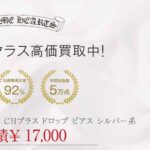クロムハーツ タイニー CHプラス ドロップ ピアス 画像