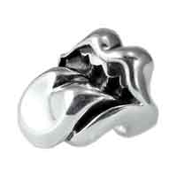 クロムハーツ 指輪 ラージリップ & タンリング 画像